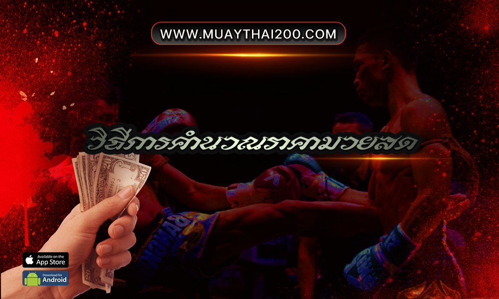 Muay-Thai-online-2